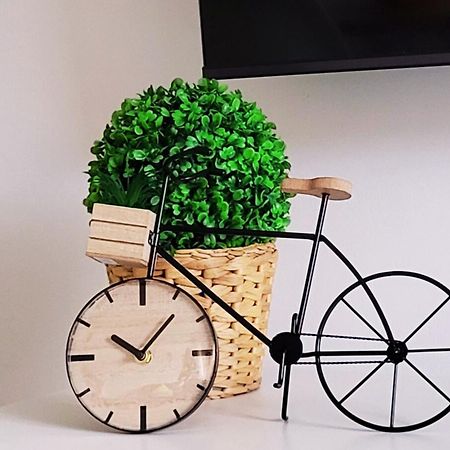 Modern Apartament Al Costat Del Parc De La Devesa ジローナ エクステリア 写真