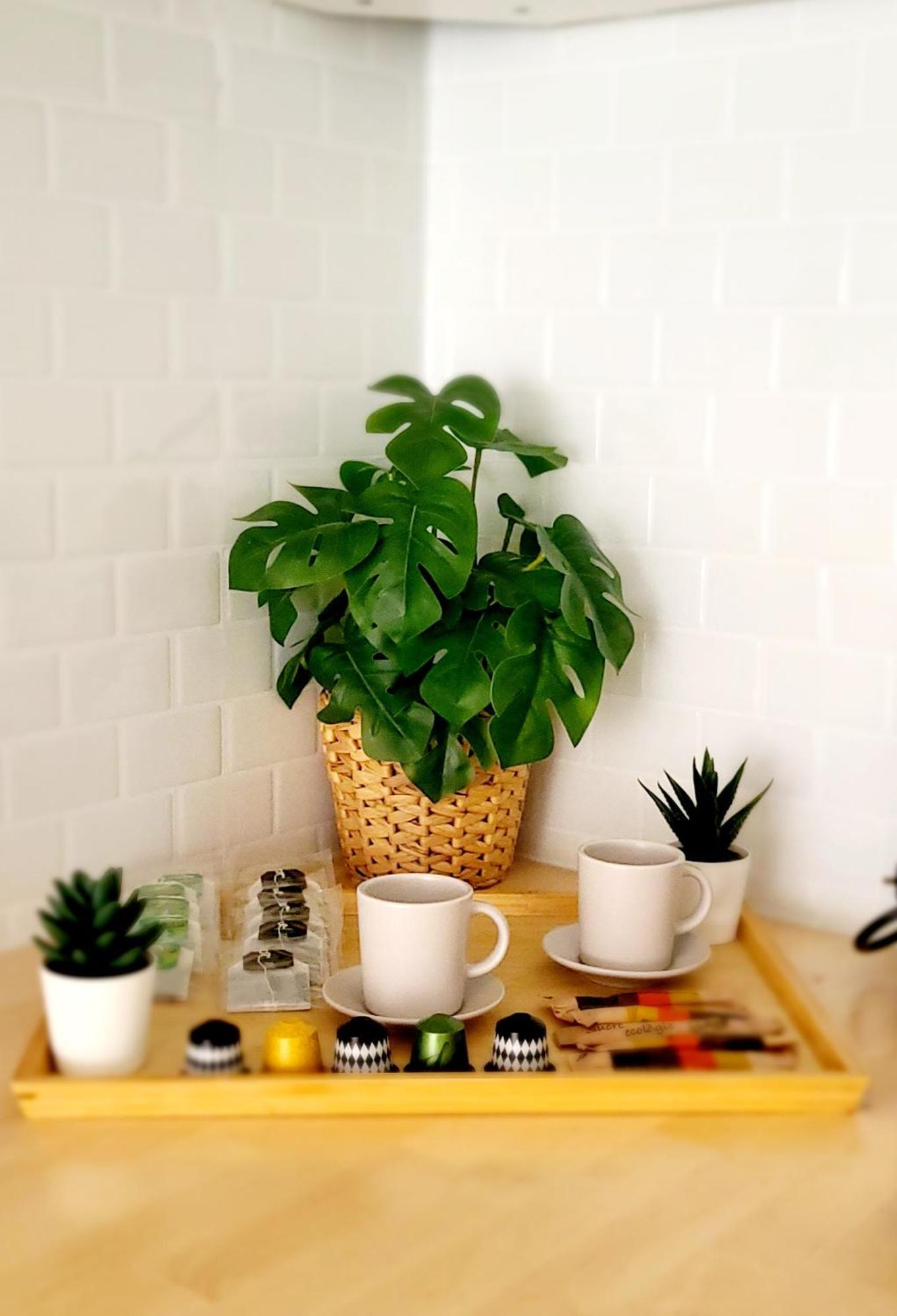 Modern Apartament Al Costat Del Parc De La Devesa ジローナ エクステリア 写真